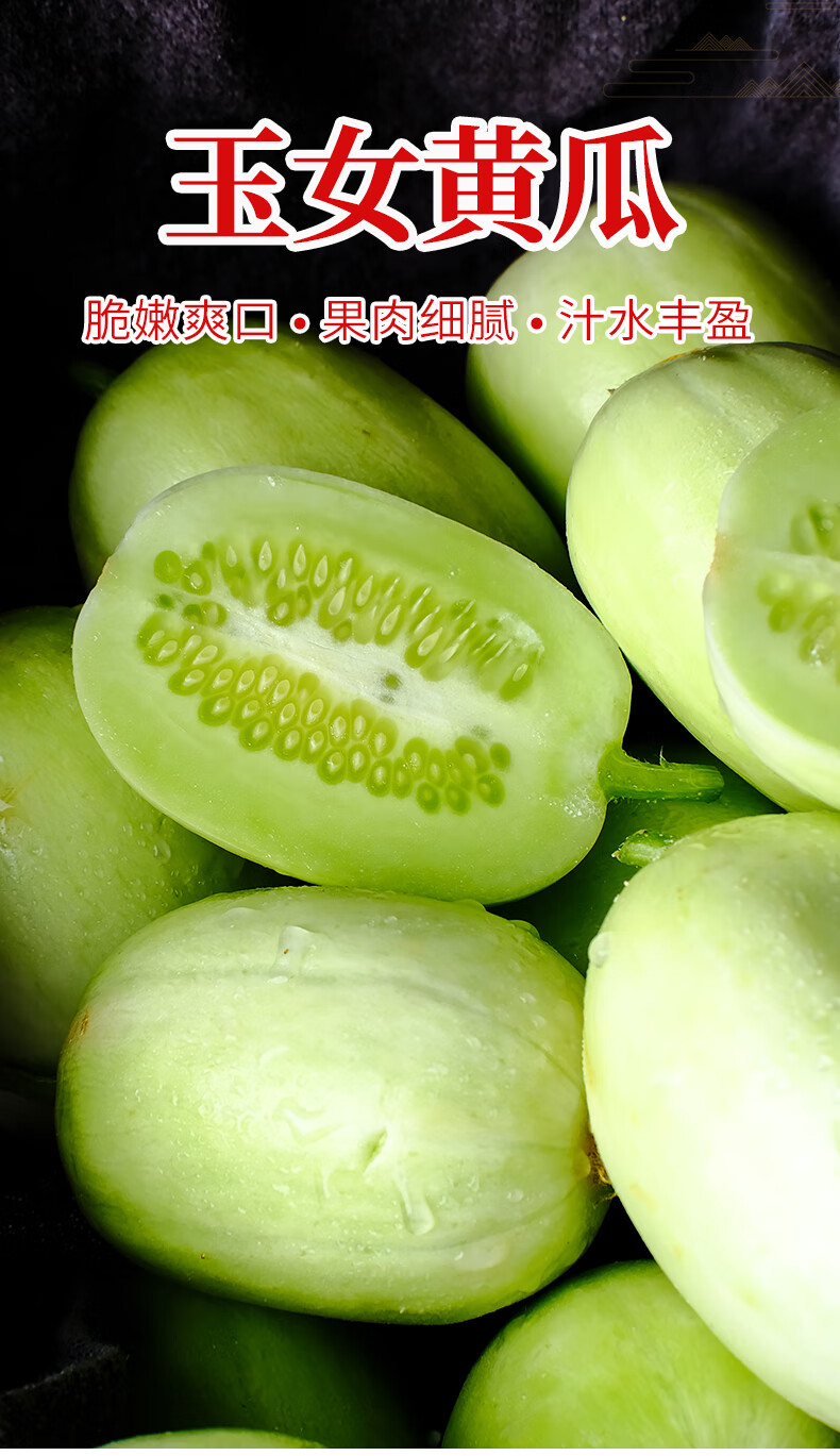 山东寿光拇指黄瓜新鲜水果金童玉女小黄瓜蔬菜生吃嫩青瓜水果礼盒时令