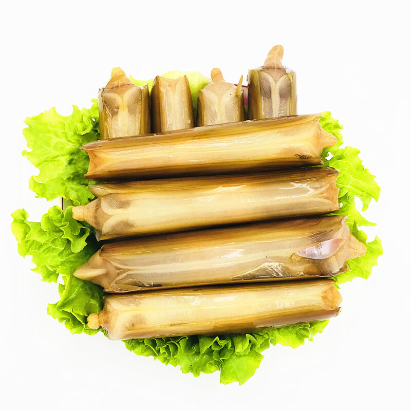 【顺丰现货】鲜活小竹蛏 竹节蛏 手指蛏 竹蛏 大蛏子 海鲜水产 5斤