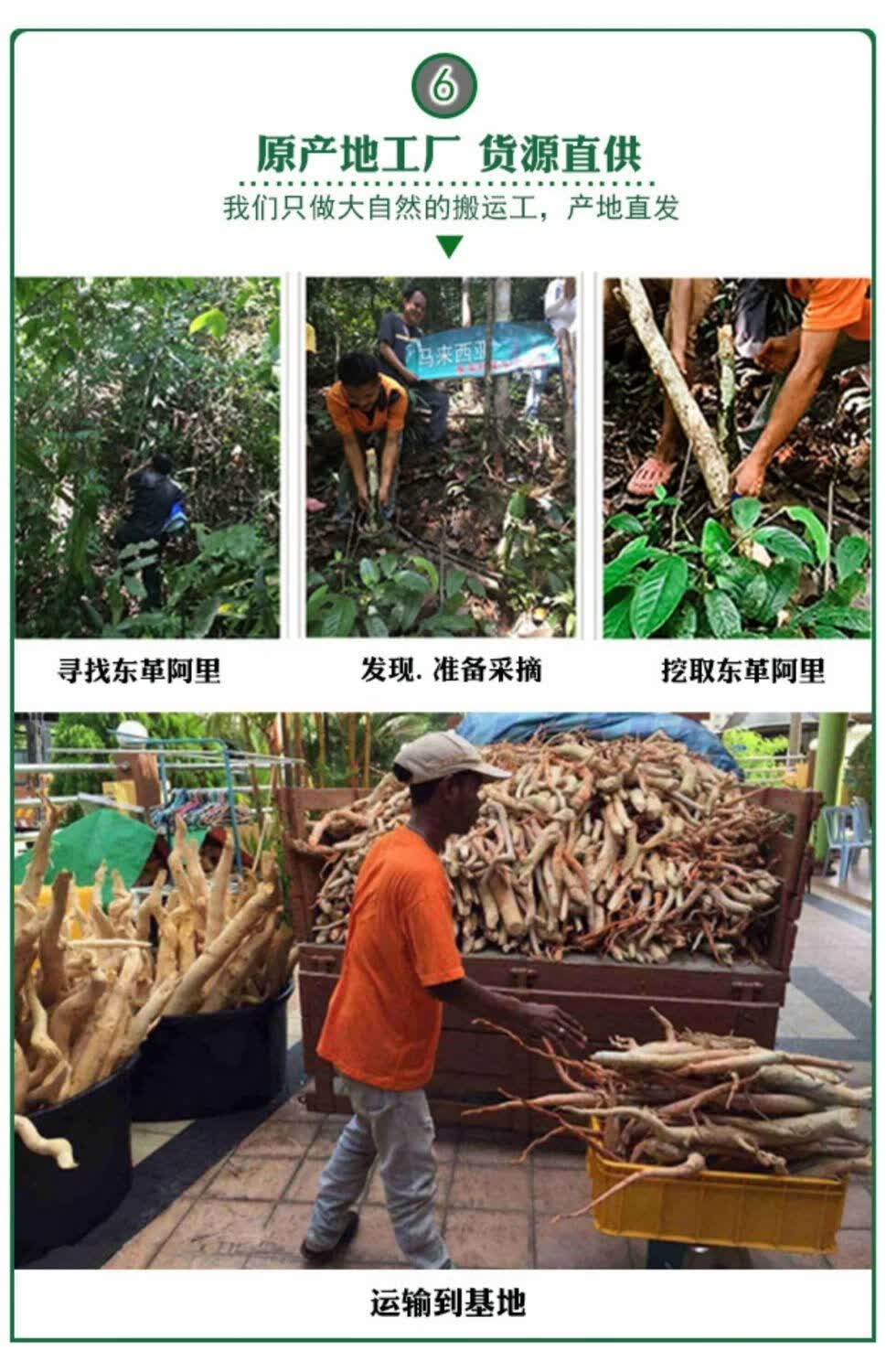 东革阿里马来西亚红东革阿里配卡宾达树皮无比加革男性泡茶泡酒料 东