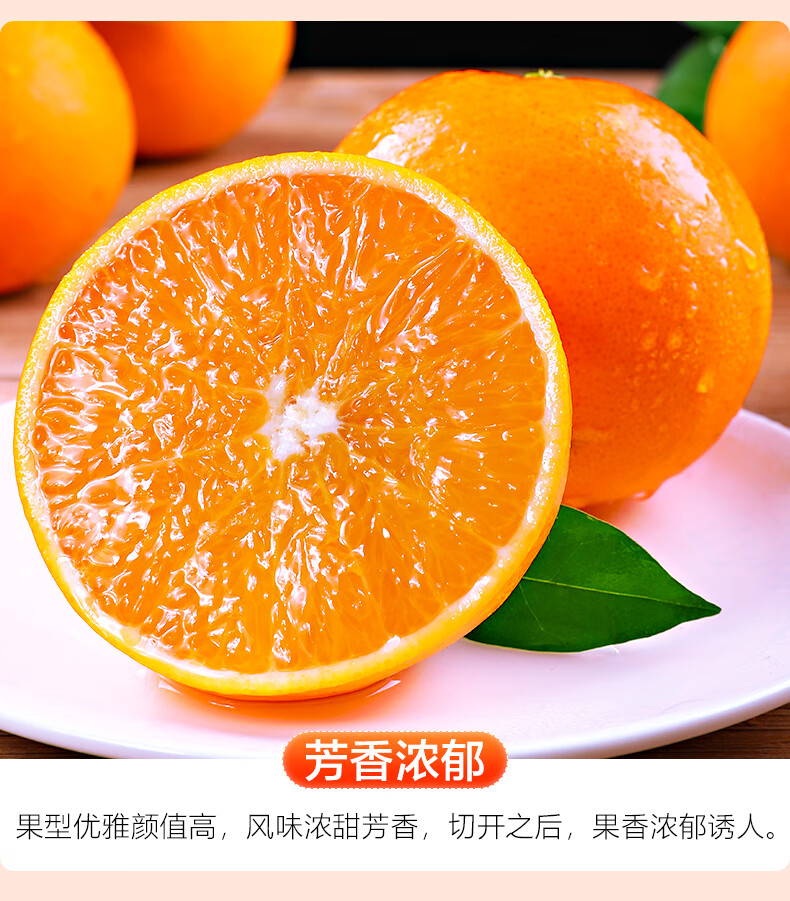 c08ee6ff50cfc75a.jpg