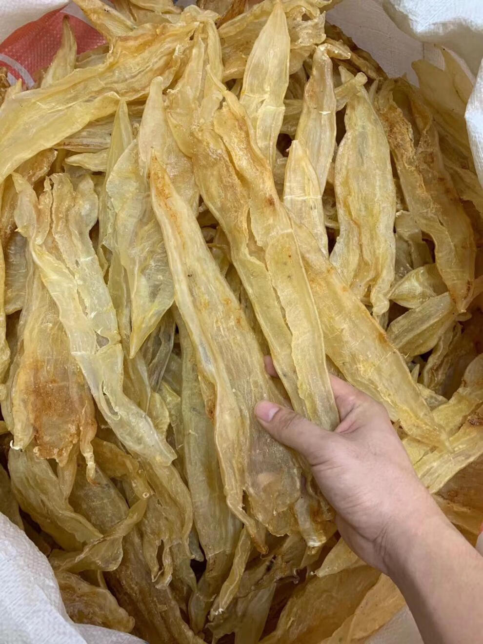 花胶鱼胶鱼肚北海鳘鱼胶阴阳肚厚肉胶质好高500克