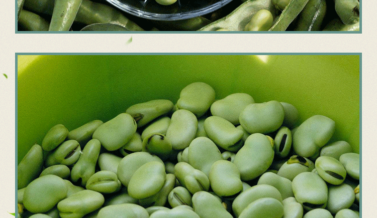 豆农家胡豆高产大荚福豆大田四季播种籽 黄蚕豆【简装10公斤】【图片