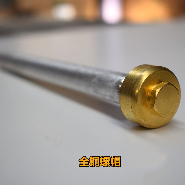 电热水器镁棒40506080升排污口阳极棒通用配件适配 樱花20cm(50-60升)