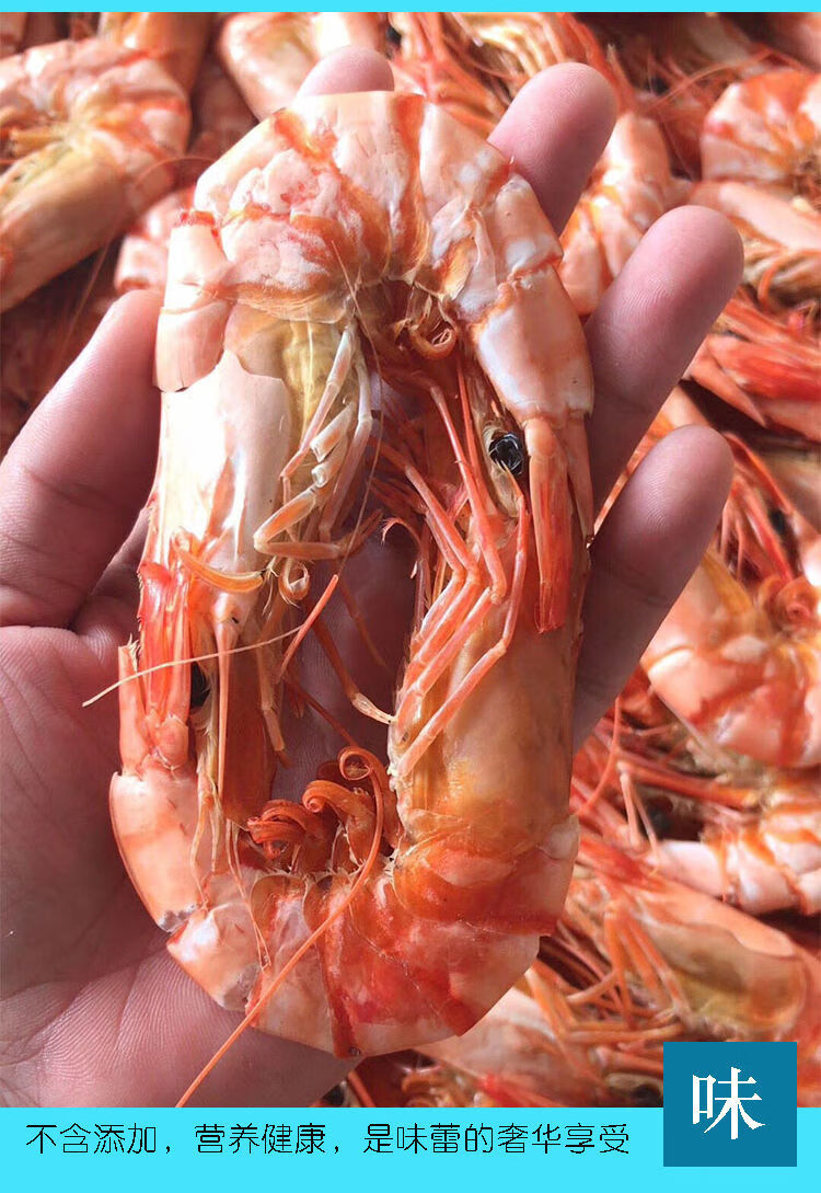 特大斑节虾干 斑节虾干大九节虾干东山海鲜干货即食500g特大碳烤大虾
