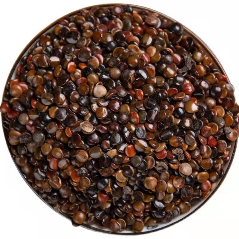 北京同仁堂 枳椇子中药材野生枳椇子枳椇子茶 拐枣籽 枳具子 官方旗舰