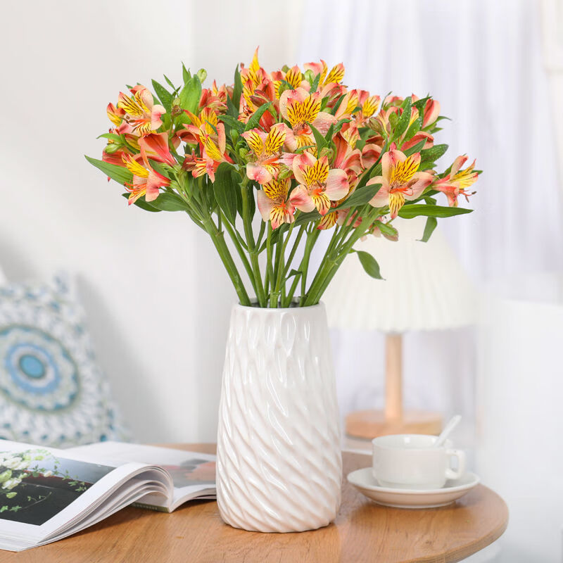 芊阙 云南昆明基地直发鲜花水仙百合六出花家庭办公室水养瓶插花 随机