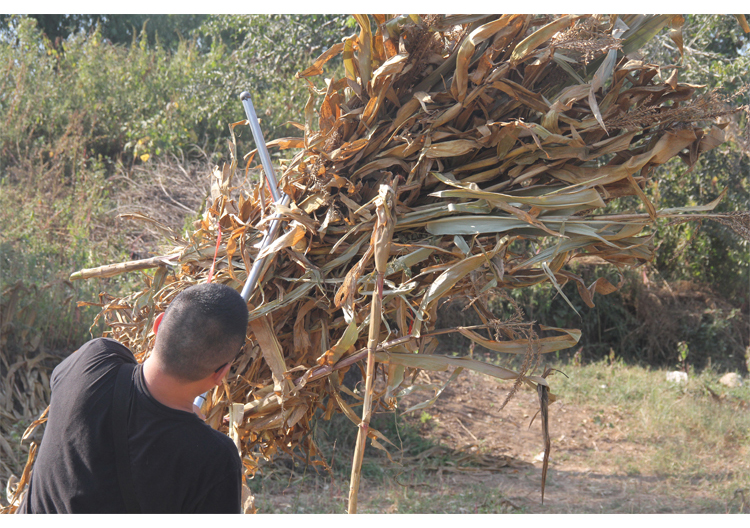 捆玉米秸秆神器农用打捆机绑苞米杆收紧小型家用工具稻草大葱捆扎38斤