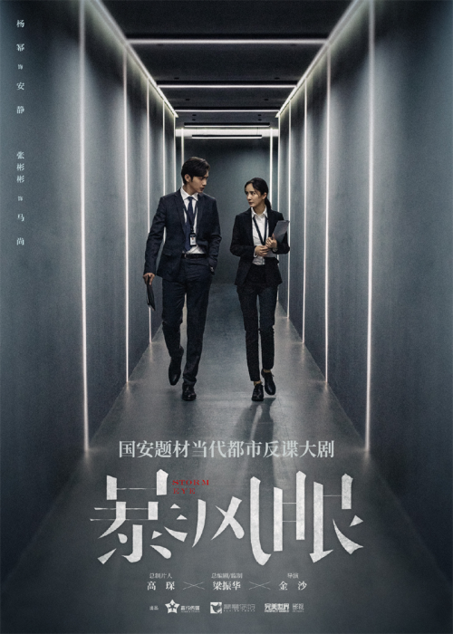 现货 暴风眼 杨幂张彬彬主演同名电视剧 国内*聚焦国安题材的当代谍战