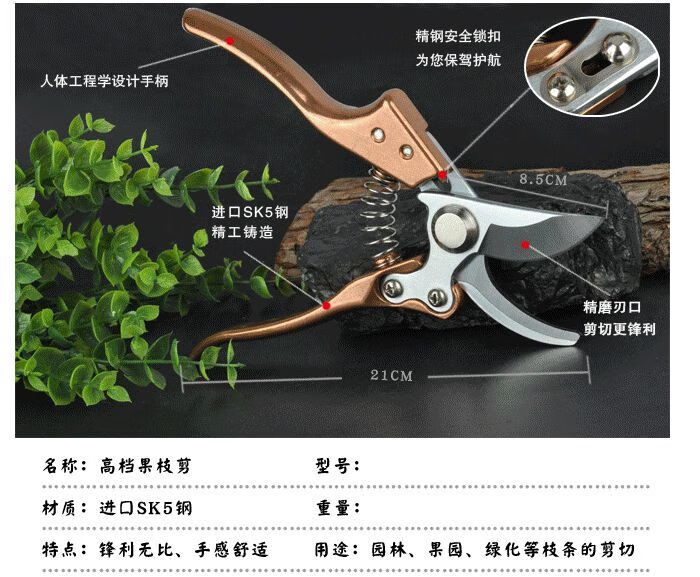 高枝剪刀伸缩枝剪日本进口钢材园林工具花木修剪树枝果树剪子粗枝剪