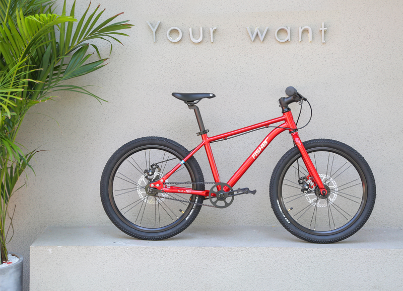 美国飞鱼儿童自行车1620寸男女孩皮带超轻24寸单车中大童脚踏车fisher