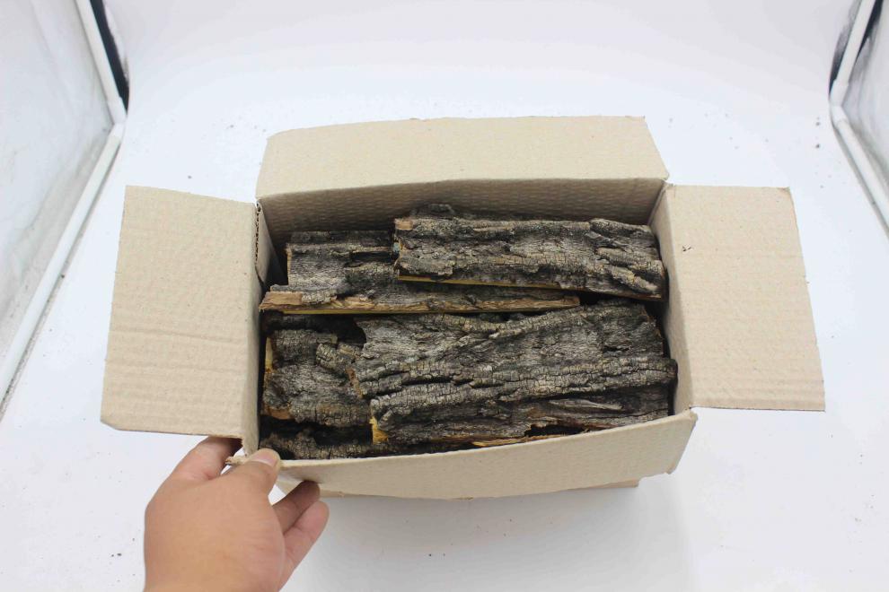 长白山核桃树皮东北核桃树皮野生山核桃皮非树枝500g泡水伊梵麦【图片