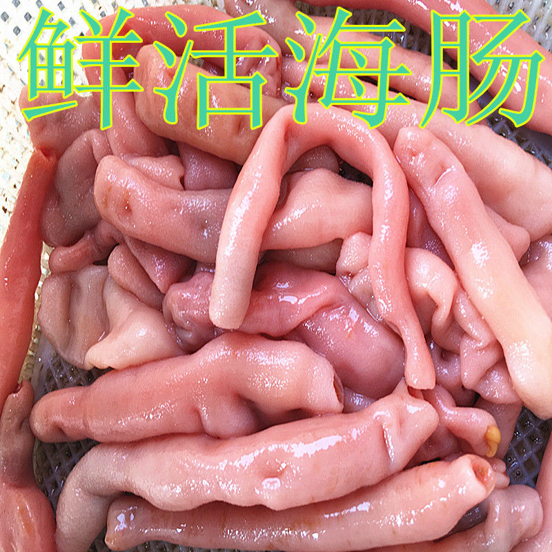 鲜活海肠子活青岛海鲜水产活体冷冻海捕新鲜海肠皮活沙虫3斤装
