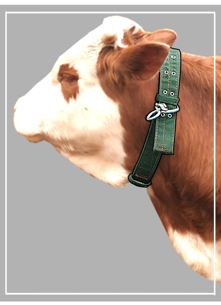 拴牛的笼头套牛项圈牛脖套畜牧养殖拴牛脖套养牛场牛专用栓牛脖套17米