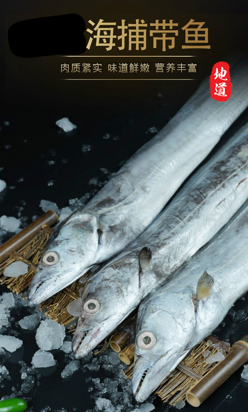 带鱼新鲜整条刀鱼舟山带鱼无冰新鲜带鱼段特大整箱带鱼 五斤装(一斤