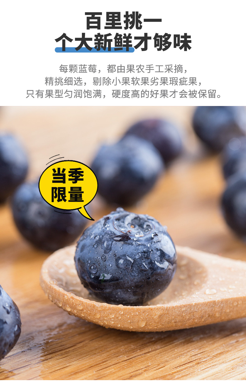 【京选生鲜】【坏果包赔】【限量果王】云南怡颗莓driscolls蓝莓12盒