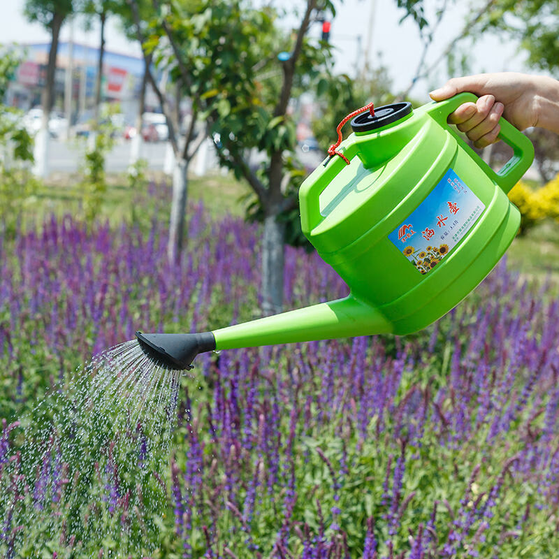 洒水壶大号浇水壶花洒壶长嘴浇水壶浇花神器浇菜小喷壶家用淋花壶加厚