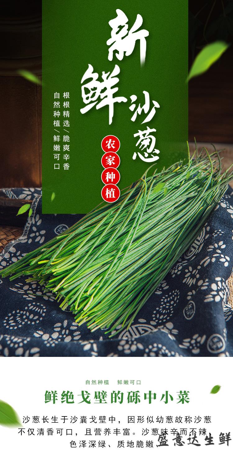 沙葱甘肃新鲜沙葱民勤特产野生蔬菜下饭菜胡葱野葱5斤装保鲜 1000g