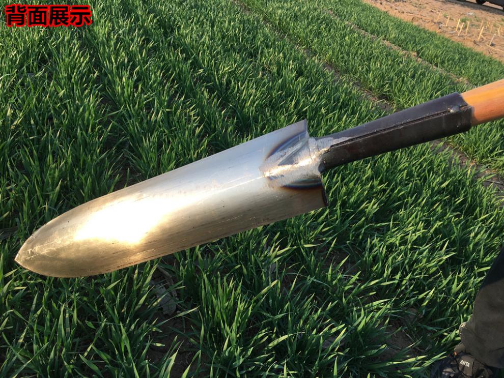 山药锹 尖头铲全钢户外加长铲挖洞起苗挖山药锹窄沟铁锹掏洞工具窄细