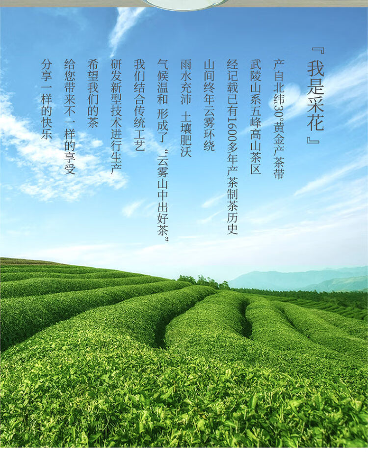 五峰芽毛尖採花綠茶2022新春紅茶明前濃香耐泡高山雲霧500g禮盒裝鐵盒