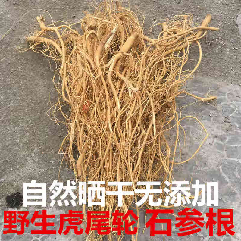 石参根野生虎尾轮炖汤广东梅州客家土特产石参根纯天草 1500克的虎尾