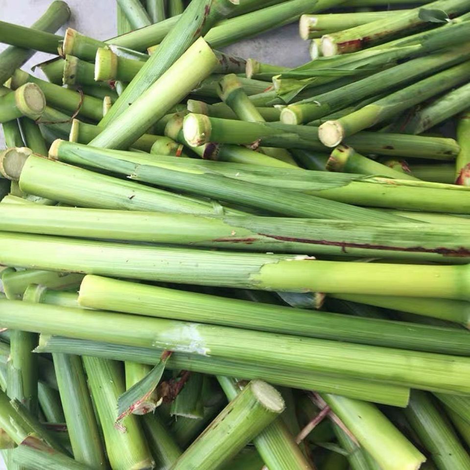 【顺丰】甜杆新鲜甜杆小甘蔗一整箱芦粟5斤现现发水果芦穄芦稷中秋节