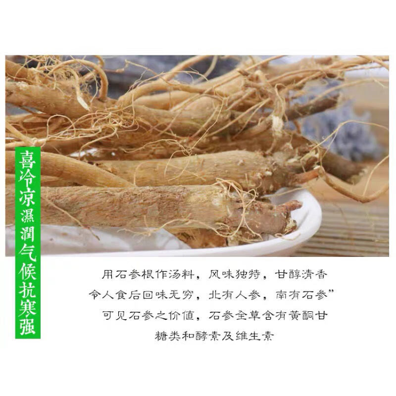 石参根野外生虎尾轮煲汤炖汤广东梅州客家土特产石参根天草500g杞里香