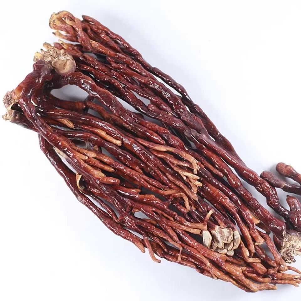 灵芝草中药材佛手灵芝鹿角灵芝水灵芝草泡酒泡茶 野生灵芝大草【1000