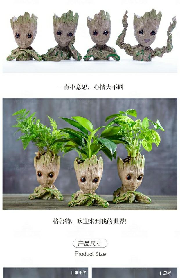 精选现发格鲁特绿植盆栽小树人吊兰植物发财树土培办公室净化空气花卉