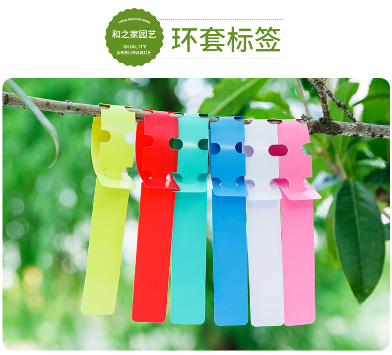 卡芬蒂绿植多肉标签兰花标签盆栽园艺花卉t型pvc塑料防水标签插地标牌