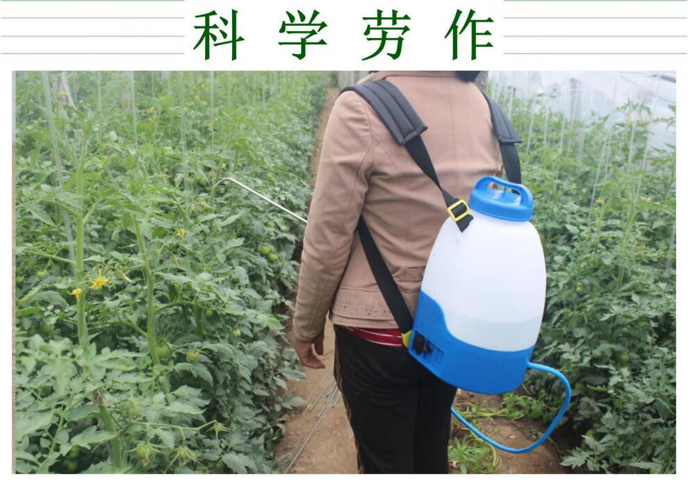 黄瓜喷花授粉器新技术图片