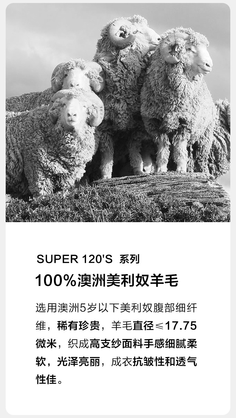 7c7a1ad4192d06c9.jpg