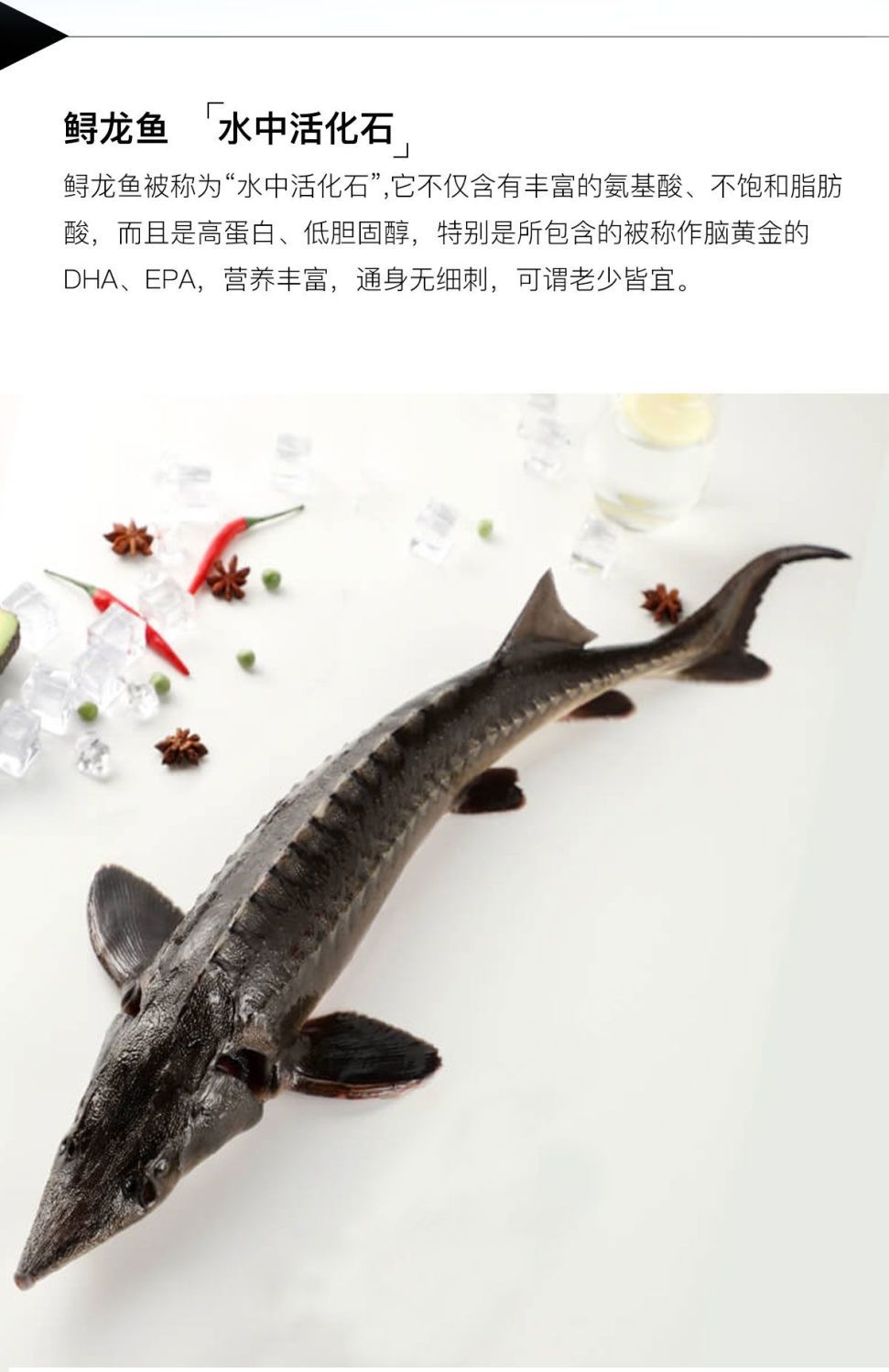 铭心一条礼品鲟鱼活体鲜活体生鲜中华食用年夜饭无刺水产养殖鲟鱼活体