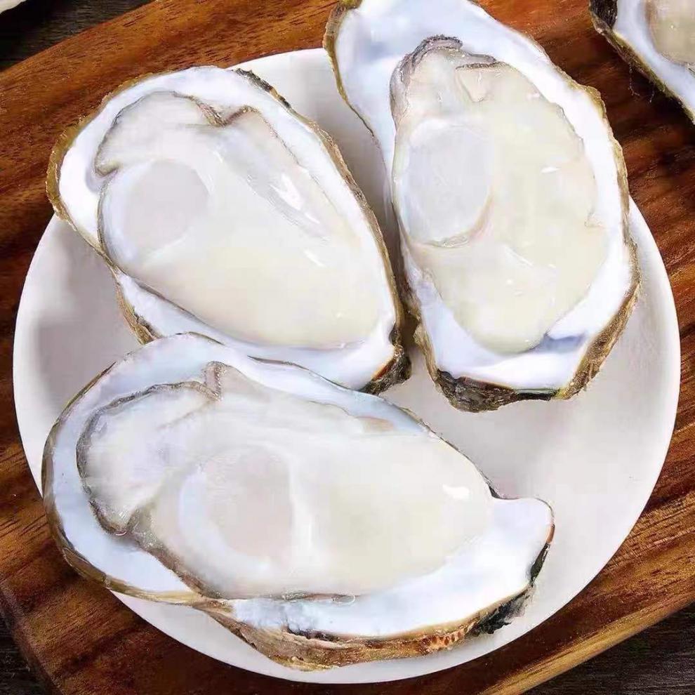 生蚝新鲜乳山蚝一整箱生蚝鲜活发货带箱5斤现捞肥牡蛎海蛎子 带箱5斤