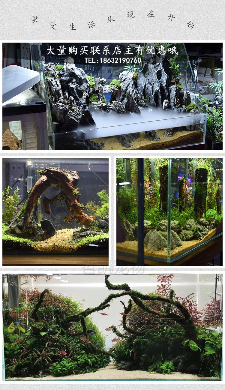 鱼缸造景底砂 混色造景化妆沙小白石头天然彩石铁胆沙灭烟沙白沙多肉