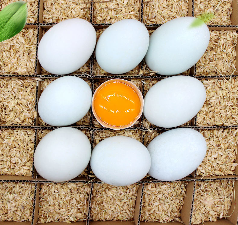 谢村长正宗连城白鸭蛋富硒土鸭蛋五谷散养鸭蛋连城白鹜鸭蛋30枚精品蛋