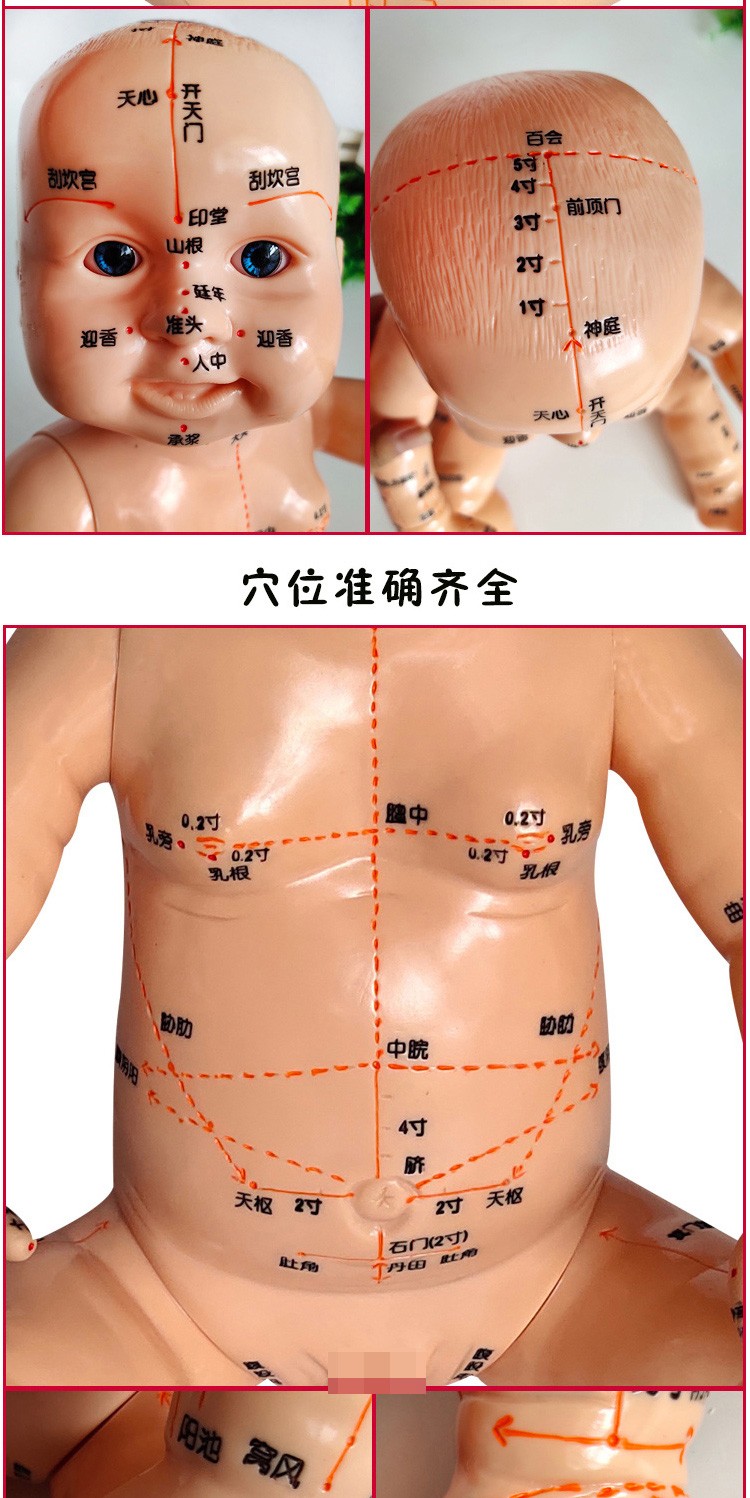 骏航丰帆小儿推拿模型穴位模型经络按摩人体带穴位模型月嫂培训中心