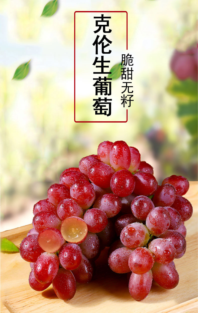新疆红提无籽克伦生葡萄2斤新鲜水果当季马奶提子顺丰5斤无籽很甜人气