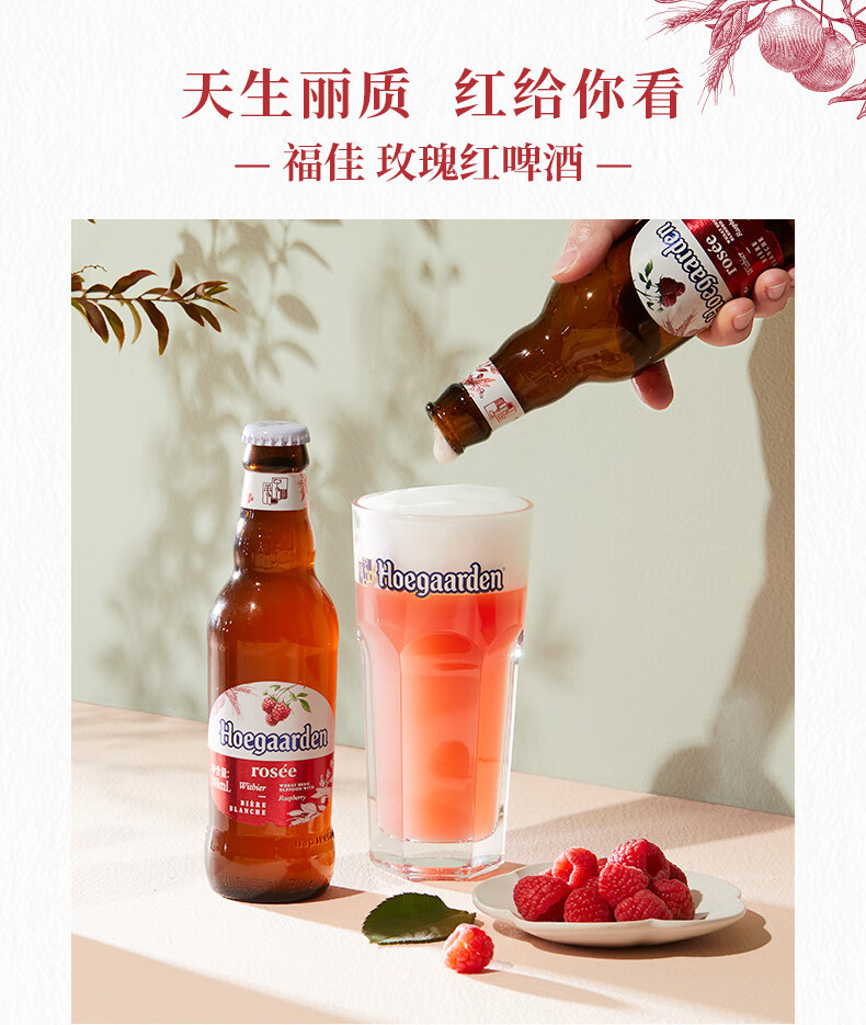 新年禮物rosée福佳啤酒比利時風味玫瑰紅啤酒果啤248ml48瓶玫瑰紅248