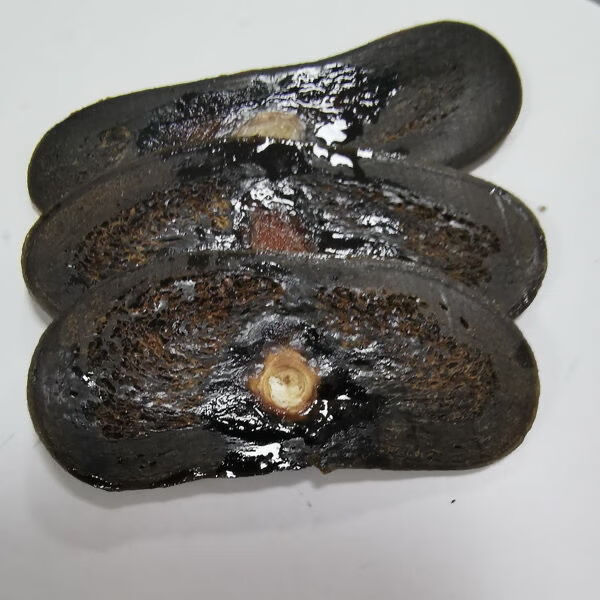 产地梅花鹿鹿尾巴干鹿尾巴鹿场整条切片泡酒煲汤男人官方直营正宗