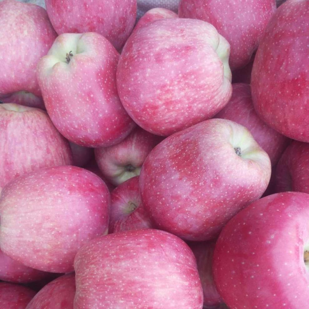 520礼物送女友红星苹果红香蕉带香味粉面苹果适合老年人吃新鲜当季扎