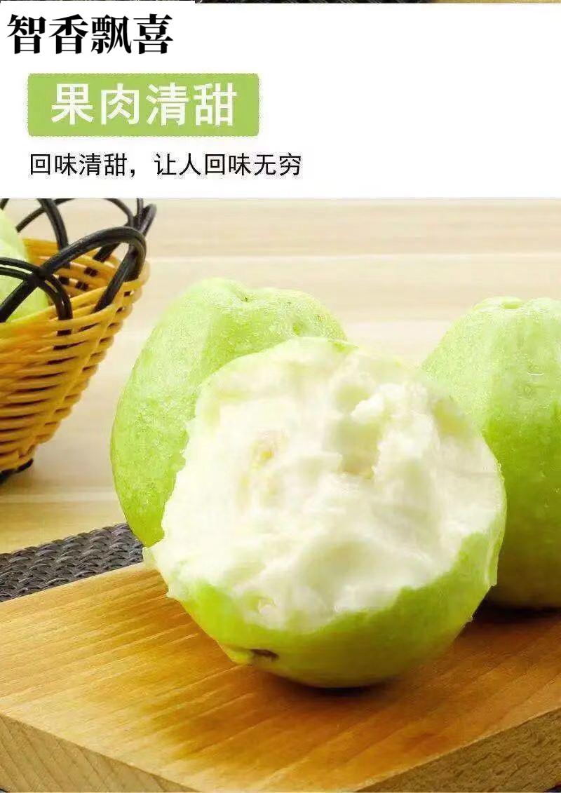 酸梅粉芭乐水果番石榴红心新鲜应季水果芭乐果红心水果 软糯香甜3斤