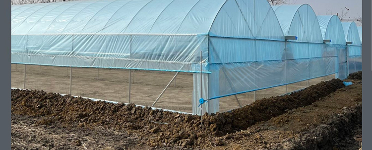 梦凡尘进口大棚膜种植蔬菜草莓无滴膜po膜多功能塑料薄膜加厚养殖黑白