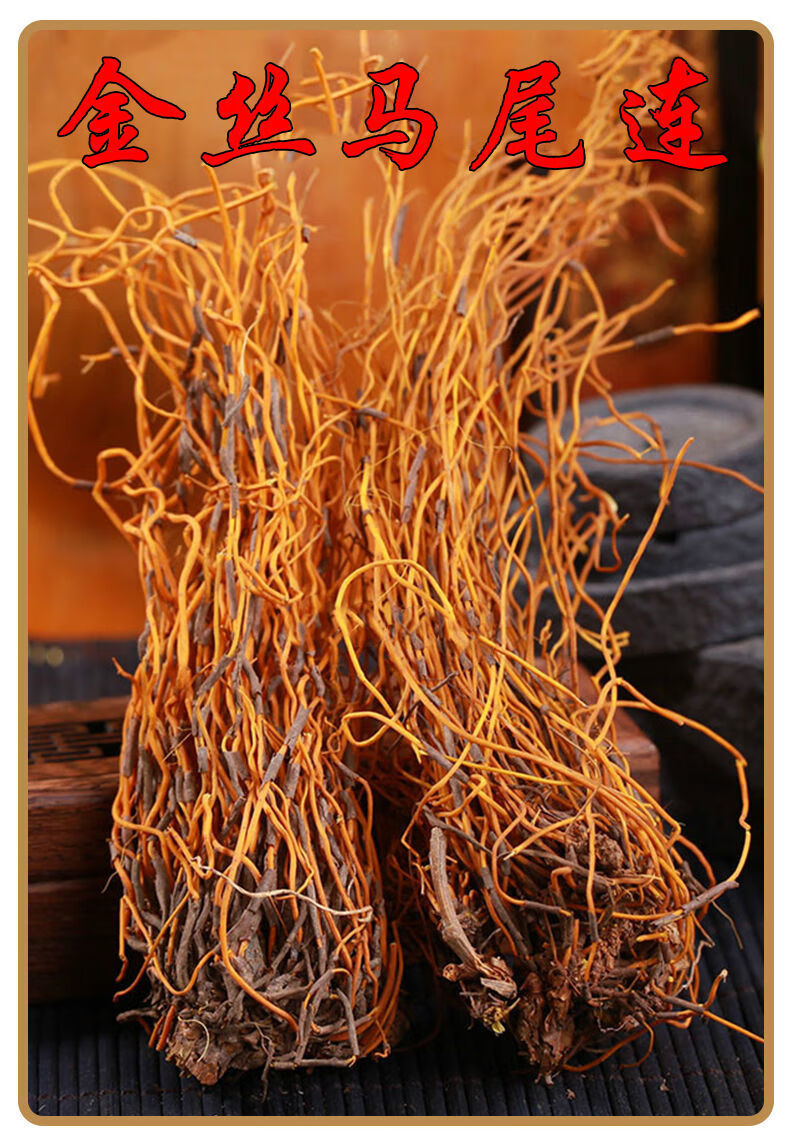 金丝马尾莲中药材云南新货 金丝黄莲 马尾黄莲 草黄莲 土黄连 金丝