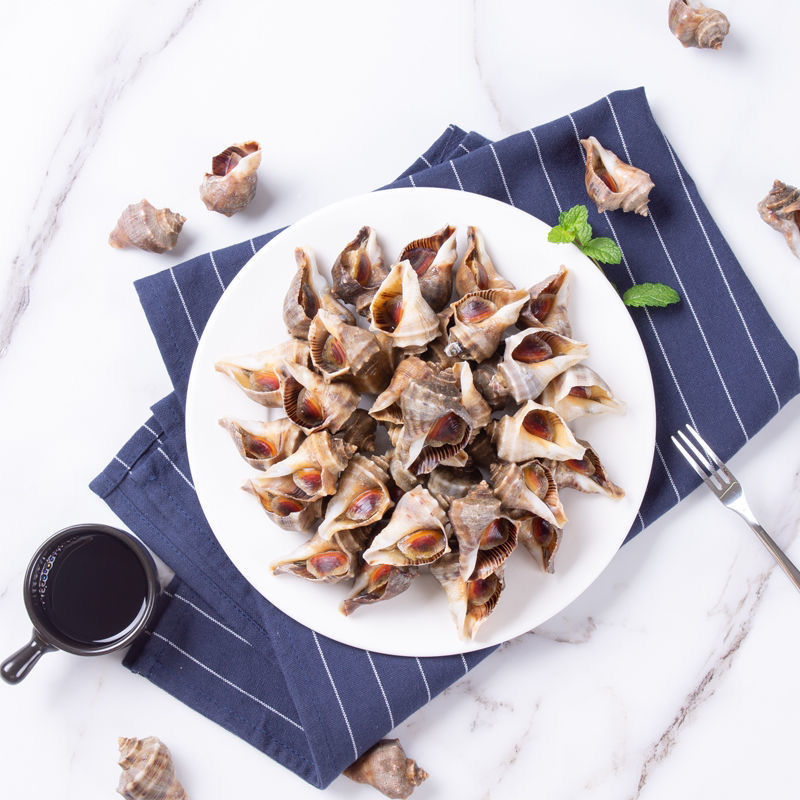 福茹洲 小海螺鲜活香波螺新鲜 特产鲜活海鲜 海螺丝海瓜辣螺 三斤装