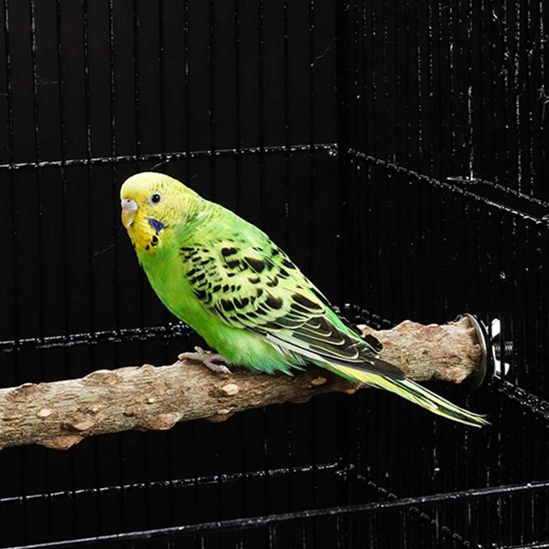 花椒木鹦鹉鸟站杆磨爪棍站台跳台啃咬磨嘴玩具 15cm站杆 8cm站台