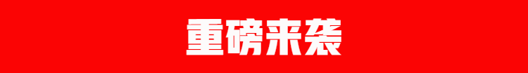 澜墨 可折叠沙发床两用双人三人多功能简易出租房卧室懒人客厅布艺沙发 浅灰色-麻布 不拆洗长1.5米宽1米(不带腰枕