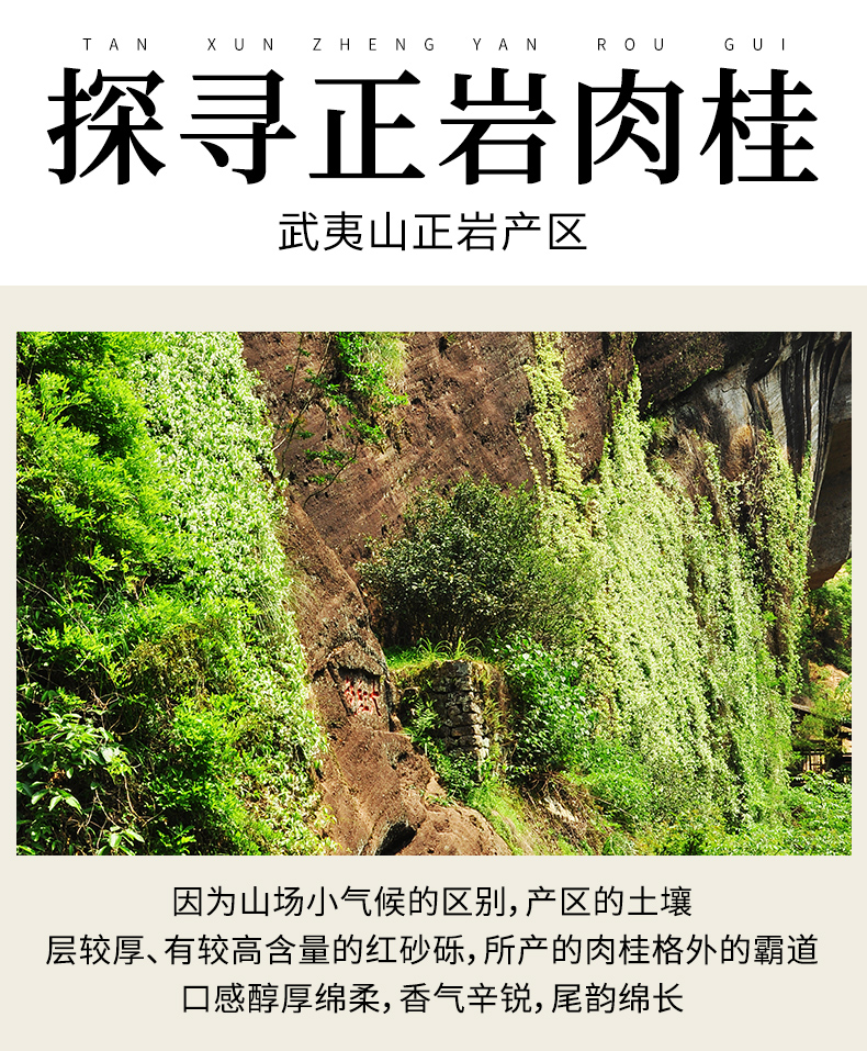 武夷岩茶大红袍燕子窠正岩肉桂茶茶叶特级正宗浓香马头岩散装500g500g