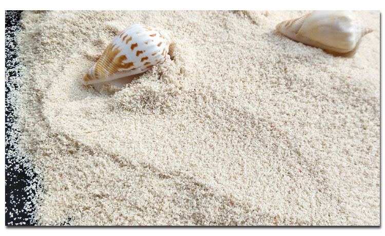 鱼缸白色底沙天然鱼缸底砂贝壳砂三湖砂海沙菲律宾沙鱼缸造景装饰慈鲷