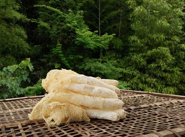 5折 新鲜竹荪干货竹笙500g无硫熏竹孙古田农家足逊野竹生菌菇土特产级