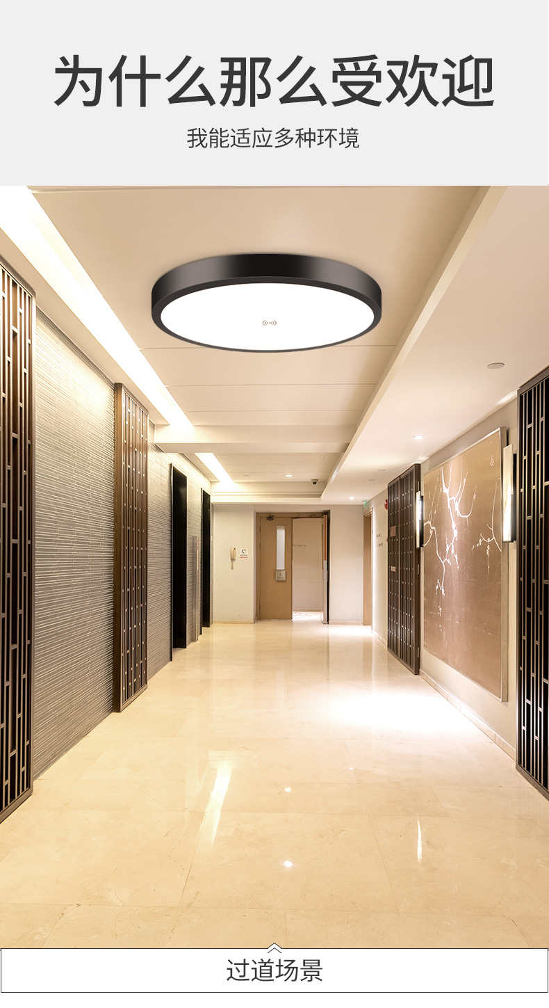 人体感应灯雷达led感应吸顶灯声控楼道楼梯过道家用入户走廊自动27cm